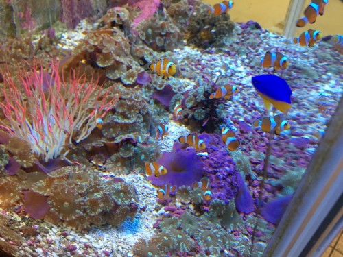 写真 2017-09-15 18 22 27