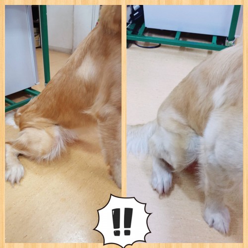 Processed with MOLDIV