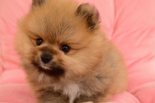 写真 2017-10-30 15 26 00