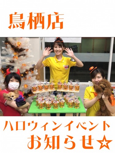 写真 2017-10-14 21 00 14