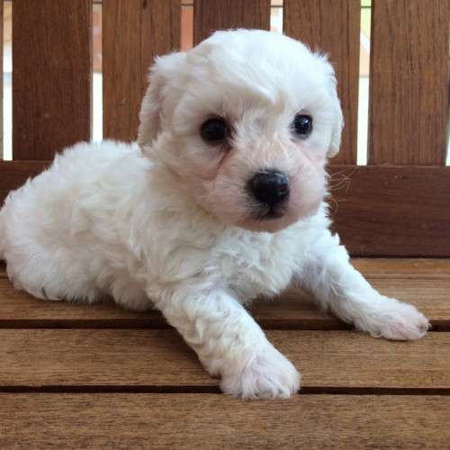 写真 2017-10-20 15 03 53