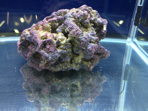 写真 2017-11-25 17 37 30