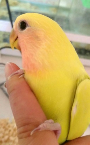 写真 2017-11-04 16 27 01