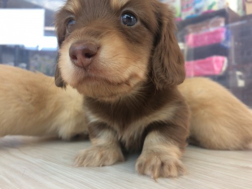 写真 2017-11-16 11 03 52