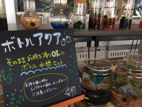 写真 2017-11-04 12 31 28