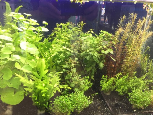 写真 2017-11-04 12 30 00