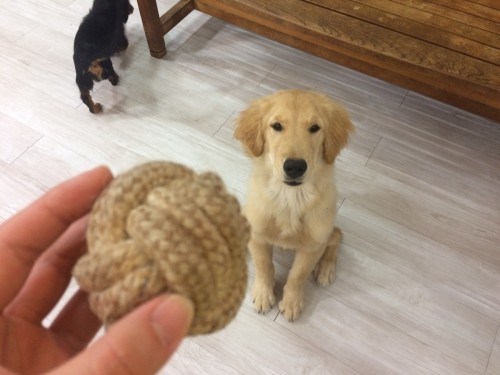 写真 2017-11-13 19 47 21