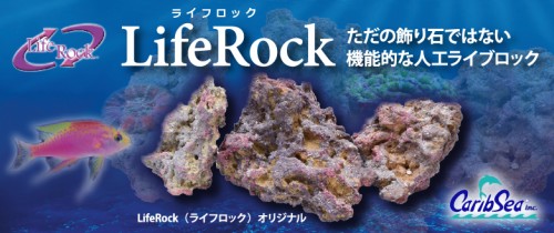 liferock-main