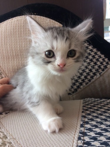 写真 2017-12-15 11 04 09