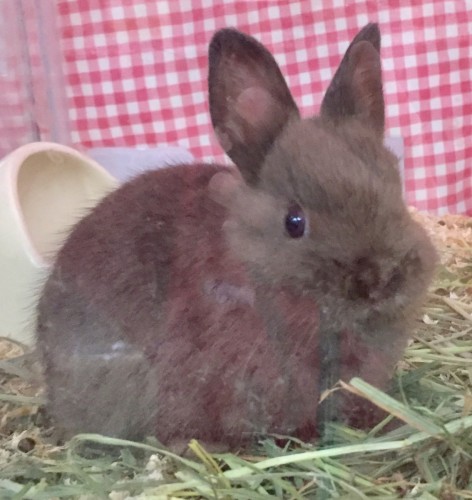 写真 2017-12-04 18 23 09