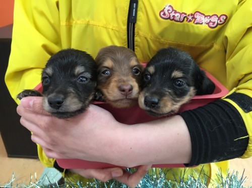 写真 2017-12-23 14 44 44