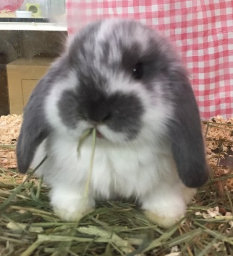 写真 2017-12-04 18 21 48