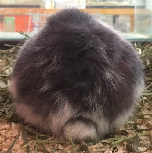 写真 2017-12-04 18 21 36