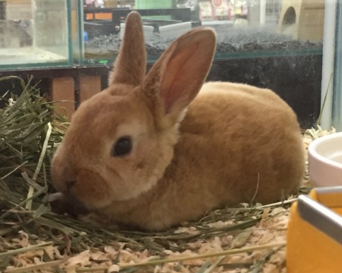 写真 2017-12-04 18 21 24