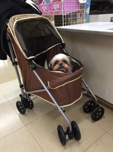 ファイル 2018-01-21 19 14 31