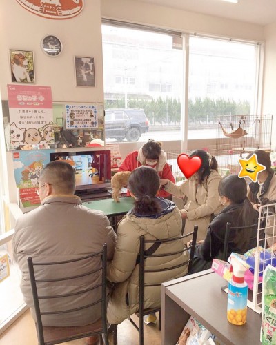 写真 2018-01-28 18 27 45