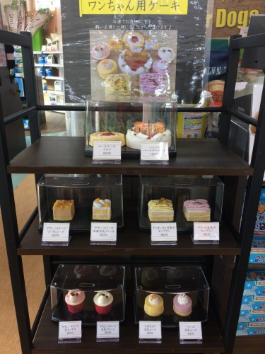 写真 2018-01-19 13 30 11