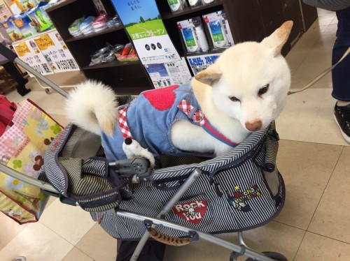 ファイル 2018-01-21 18 40 09