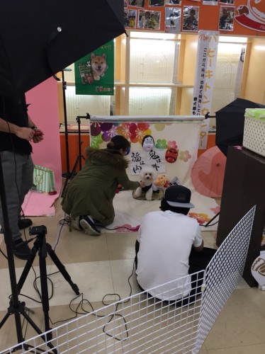 ファイル 2018-01-21 19 14 12