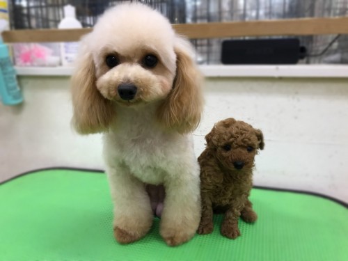 写真 2018-01-23 19 55 08