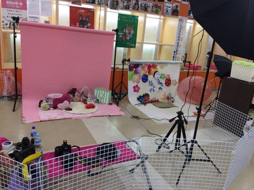 ファイル 2018-01-21 18 11 38