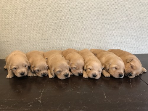 写真 2018-01-24 16 39 30