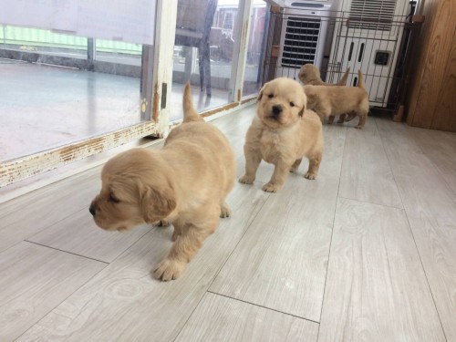 写真 2018-02-06 18 19 05