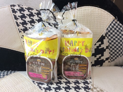 写真 2018-02-02 12 56 24