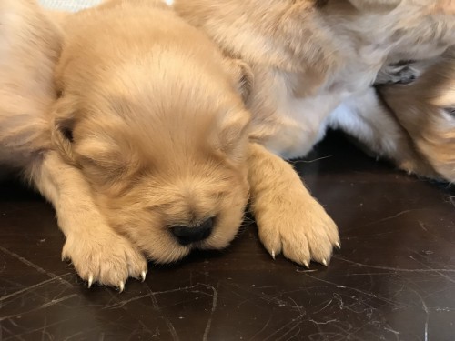 写真 2018-01-24 16 36 03