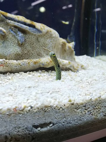 写真 2018-03-25 11 35 06