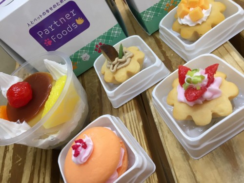 写真 2018-03-19 10 41 41