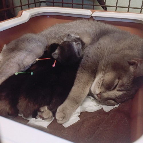 写真 2018-03-20 13 31 20