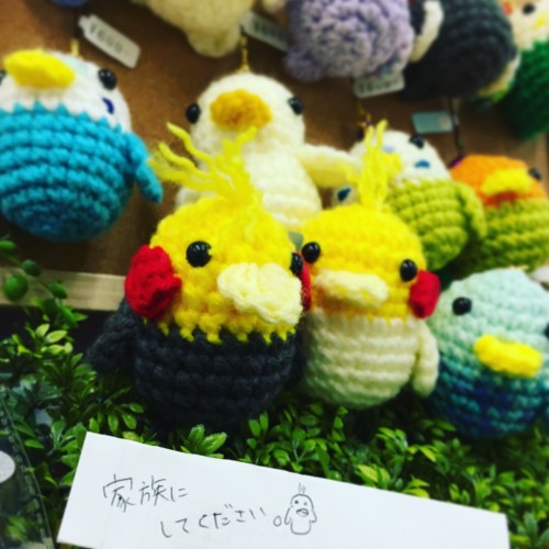 写真 2018-02-24 11 34 45