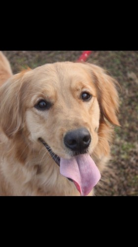 写真 2018-04-21 14 43 09