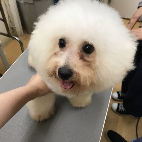 写真 2018-04-25 20 39 48