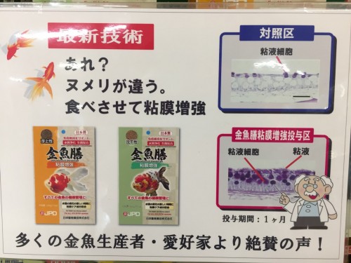 写真 2018-04-19 17 26 17