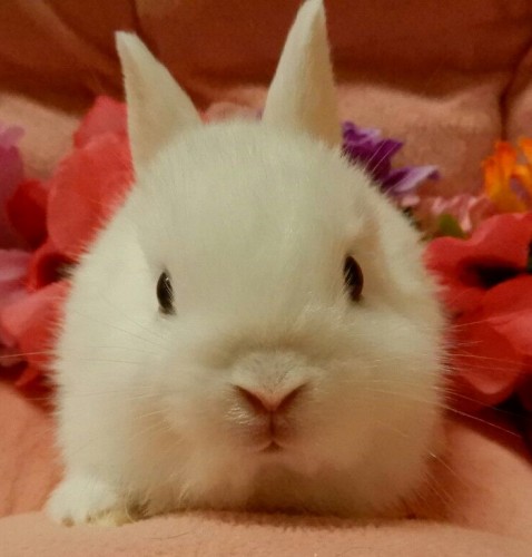 写真 2018-05-16 15 41 45