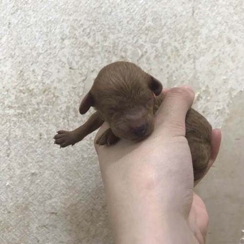 写真 2018-05-18 12 41 56