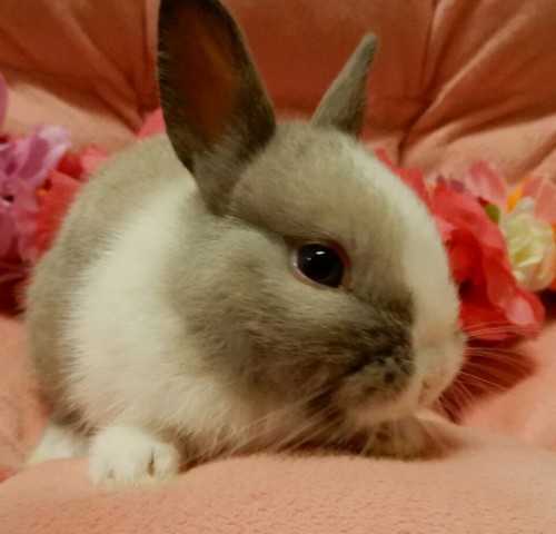 写真 2018-05-16 15 41 39