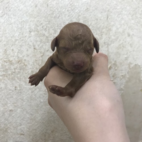 写真 2018-05-18 12 41 59