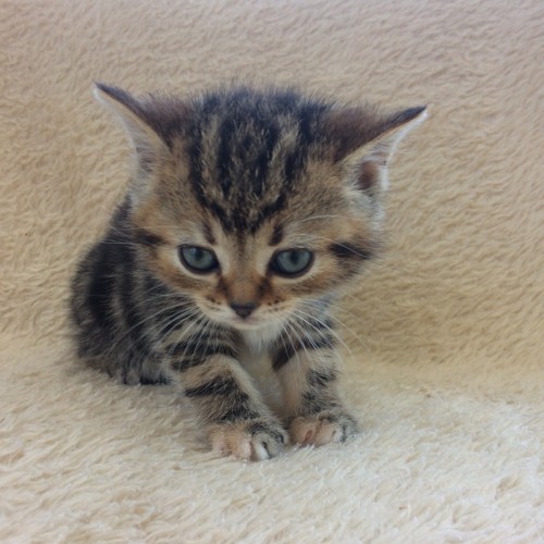 写真 2018-05-03 13 22 26