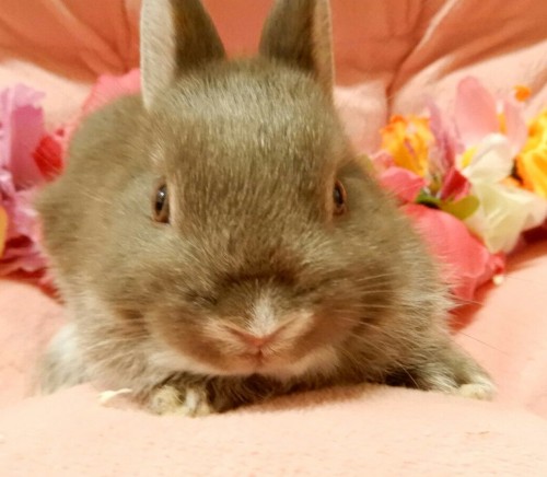 写真 2018-05-16 15 41 35