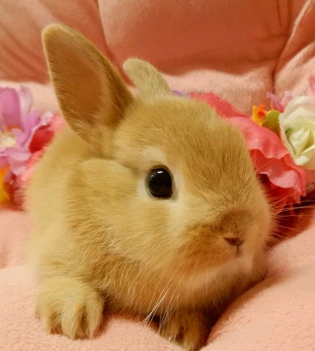 写真 2018-05-16 15 41 47