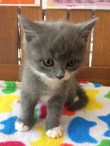 写真 2018-06-12 12 09 06