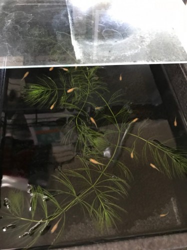 67D52943-2C82-4A4A-8461-AD7472A819C6