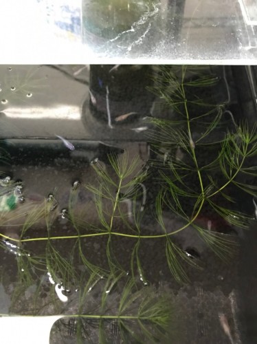 E9B661C2-FE6B-4D56-92B9-B43B76E43477