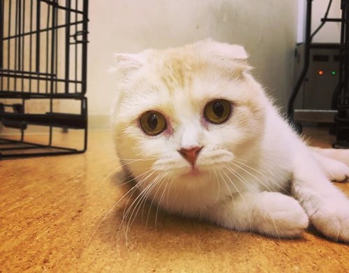 写真 2018-06-12 19 17 59