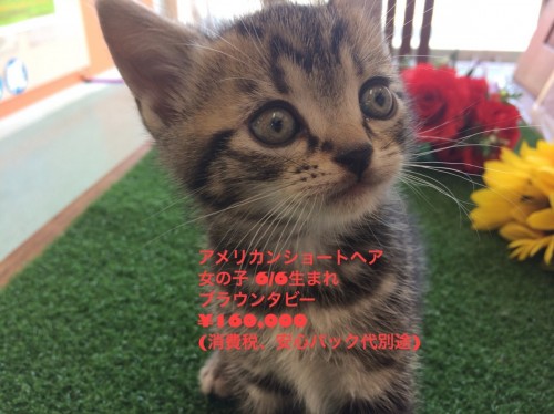 写真 2018-08-21 13 30 22