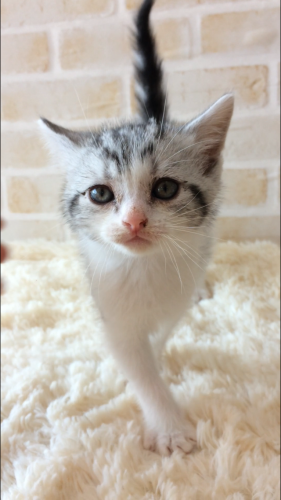 写真 2018-08-11 13 20 26