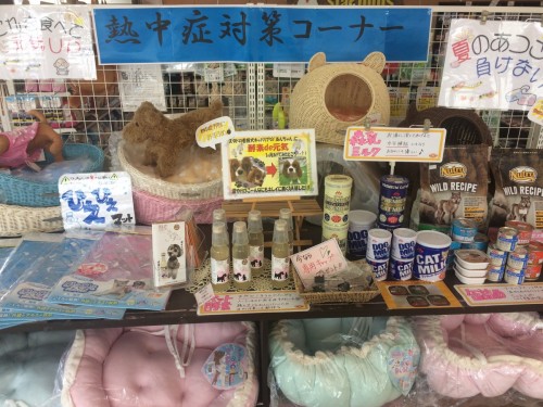 写真 2018-08-17 12 05 12